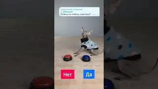 questions from subscribers