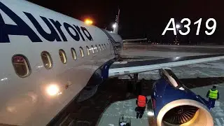 Airbus A319. Рейс Новосибирск-Хабаровск а/к Аврора.
