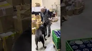 Ну а на работе Валера нас ждал 🥰