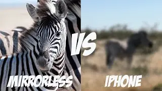 Photography Tips for ETOSHA National Park // Namibia Travel Vlog ep 4