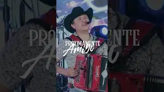 Preview "Amigos"