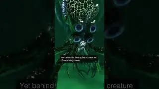 The mysterious Crabsquid 