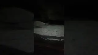 скат