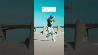 Wait for it 😂… Bon Bon was just using his PTO on the last video lol 😝 🐶 #dancingdog #dance