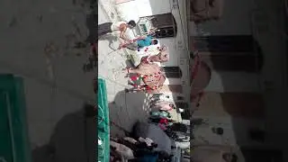 Dangerous camel qurbani