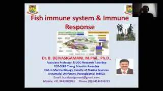 Fish Immune system and Immune response by Dr Deivasigamani @Government College for Women Kumbakonam
