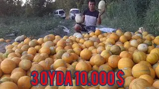 #Qovun