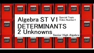 Algebra ST V1: Determinants Linear Equation 2 Unknown