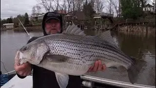 TENNESSEE STRIPER FISHING-PERSONAL BEST FOR ALL!