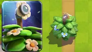Suspicious Bush