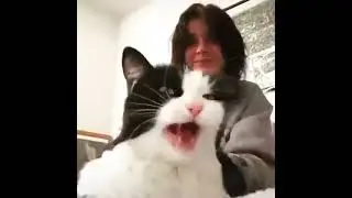 K7F3QT5J