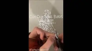 Cut Out Some Birds With Me | make stickers with me #1