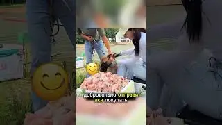 Для собаки помощь другим важнее собственной жизни.