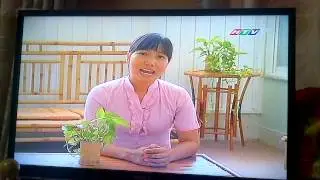 Văn nghệ thiếu nhi trường mầm non Lê Thị Riêng quận 1