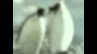 Old Vegas test (Ear Rape)