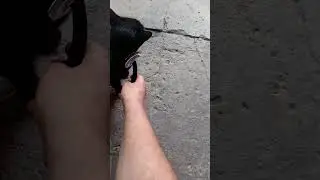 Красивый воскресный день.