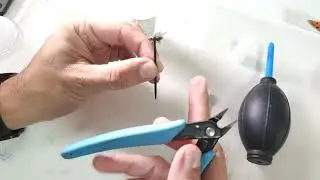 Fotografia macro - macro extreme - Fotografando uma mosca