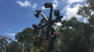 Black Widow @ Adventure World Perth 2022