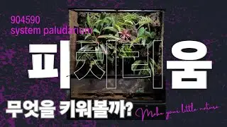 뭘 키워볼까?   고민이신분 있나요?  일단 피치리움으로 선택하시고 천천히 고민해보시는 방법도 좋은 방법입니다 !!