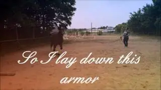 Armor ♥