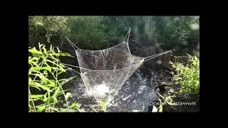 Рыбалка на паук в ручье