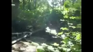The Great Escape After affects