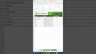 HOW TO USE THE LOWER FUNCTION? 