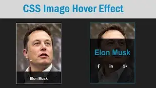 Cool Image Hover Effect using CSS | CSS Image Hover Effects