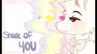 Shape of you l Meme