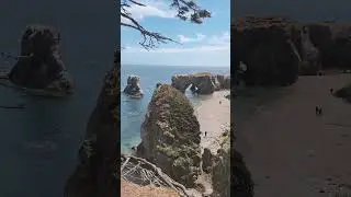 Сахалин - жемчужина мыс Птичий 