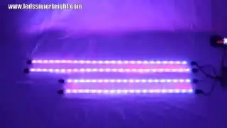 Million Color LED Neon Underbody Lights Kit Under Car