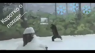 Коротко о погоде