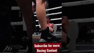Sebastian Fundora gets knocked out