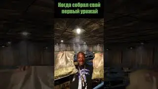 Когда собрал первый урожай с фермы в раст 