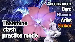 [LostArk]Thaemine(Kamen) clash practice mode - 5 characters