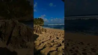 HILLINGG OOII HIILINGGG #shortsfeed #jogjawisata # #beach #yusufrestuadji #trendingshorts #travel