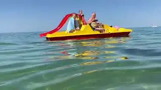 Витязево 2024 ￼ Дельфины🐬