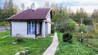 DACHA 500 THOUSAND A YEAR LATER