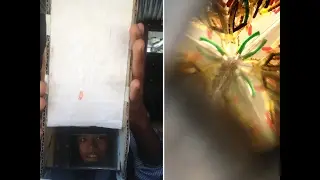 DIY Periscope and Kaleidoscope - Class 7 - Terse SS 