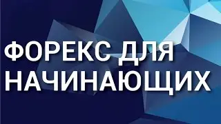 Форекс для начинающих. Как начать быстро зарабатывать на Форекс для начинающих.