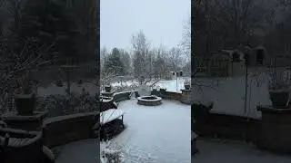 snowday