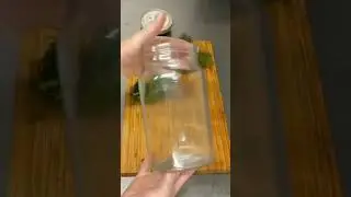 Как сохранить зелень свежей 🌿