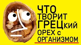 Скрытая ПОЛЬЗА ГРЕЦКИХ ОРЕХОВ и действие на Человеческий организм!