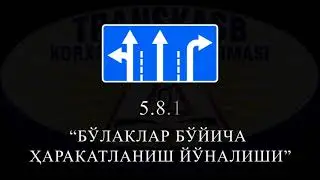 5 8 1 ЙУЛ БЕЛГИСИ