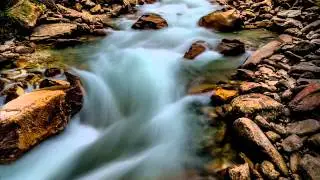 Sviatoslav Richter - Prokofiev Concerto n.5 op.55