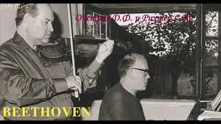 Одесса зажигает огоньки. Сергей Никитин.