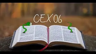 CEX (Code EXpress) 06: Python dictionary