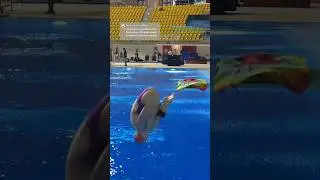 Can you believe this is a dive we practice? 😅🥹💜 
