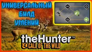 The Hunter Call of the Wild .📖УНИВЕРСАЛЬНЫЙ БИЛД 📚УМЕНИЯ📑ВСЕ ДЛЯ КОМФОРТНОЙ ИГРЫ🎮