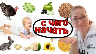 WHO and pediatrician recommendations / RULES of introduction / how it is administered in Turkey